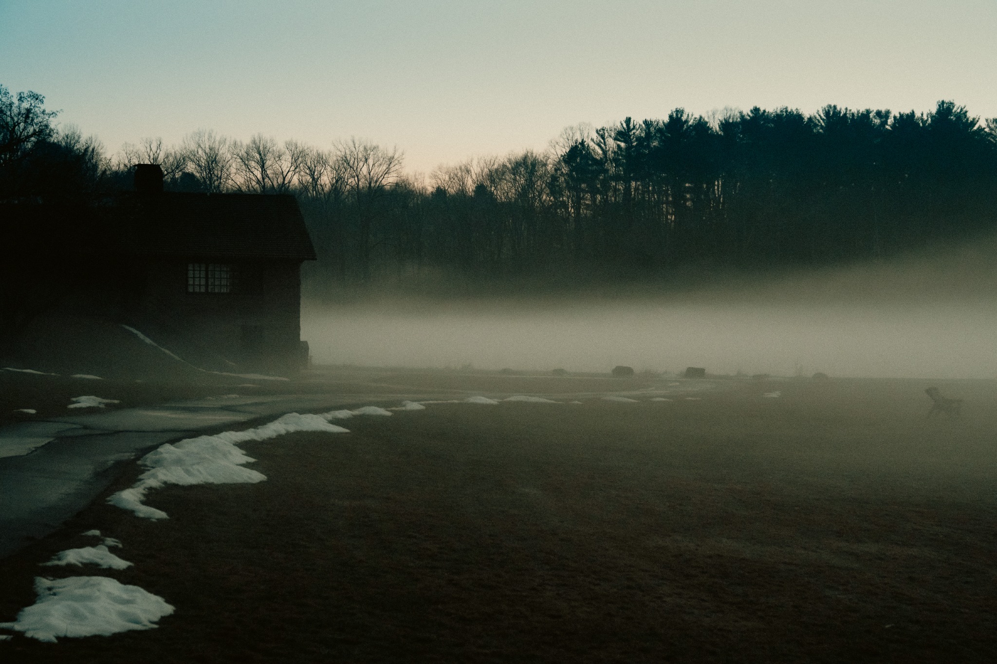 Foggy landscape